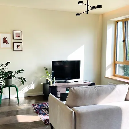 Floral Sunshine 维尔纽斯