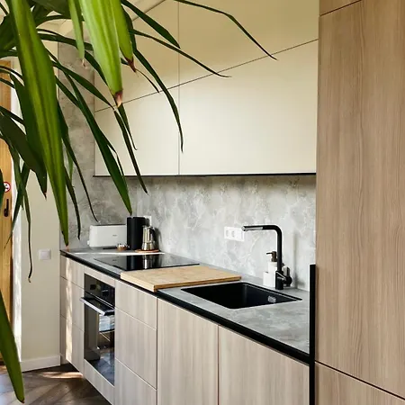 Floral Sunshine 维尔纽斯