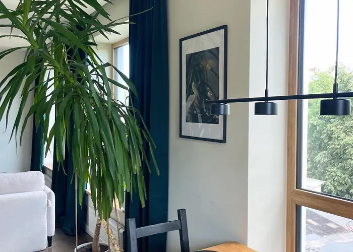 Floral Sunshine * Βίλνιους