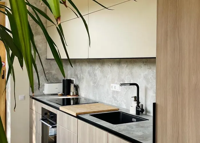 Floral Sunshine Βίλνιους